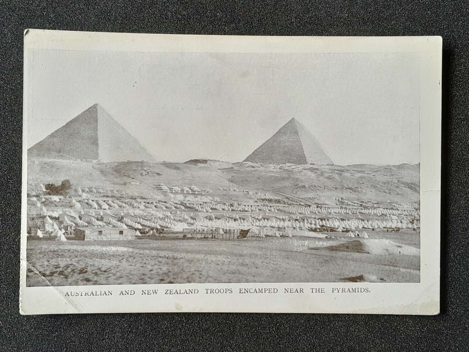 Australian and New Zealand Troops and Encamped near the Pyramids