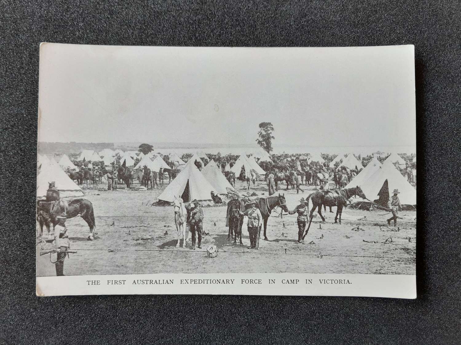 First Australian Expeditionary Force in Camp in Victoria