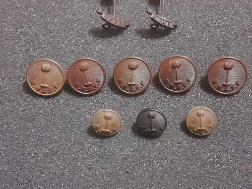 Royal West African Collar Dogs and Tunic Buttons