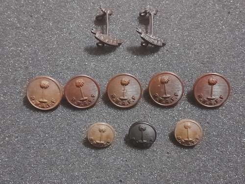 Royal West African Collar Dogs and Tunic Buttons