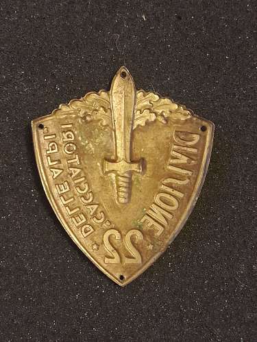 Italian, 22nd infantry Division arm shield