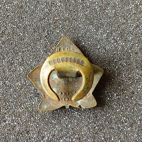 WW1 Disabled Soldiers and Sailors DS&S Enamel Lapel Badge.