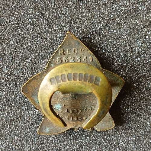 WW1 Disabled Soldiers and Sailors DS&S Enamel Lapel Badge.
